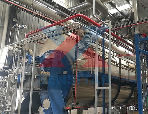 肉骨粉加工案例現(xiàn)場(chǎng)